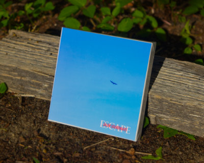 A five inch tape reel box with the album art for ESCAPE on it, rested against a log of firewood in front of some plants